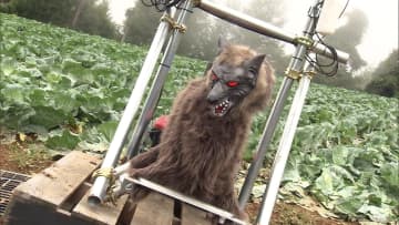 クマ対策の切り札となるか　野生動物撃退装置「モンスターウルフ」…動物の動きを感知し、50種類以上の音声やLEDライトで威嚇