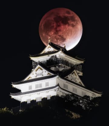【岐阜城】思わず息を呑む…皆既月食に浮かび上がる岐阜城の写真に「かっこよすぎるわ」と絶賛の声続出！