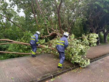 マカオに影響を与えた台風が年初来9個目に…1993年以来の多さ