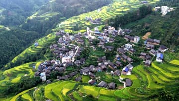 緑豊かな棚田の風景　中国広西・三江県