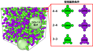 コロイドの集まり方を決める“普遍的ルール”を発見 ― 機能性材料設計に向けた新たな指針 ―