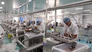 中国海南省の定安塔嶺工業パーク、技術革新でスマート化推進