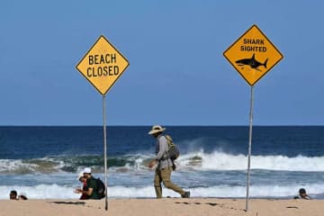 豪シドニーのビーチでサメ襲撃事件発生、サーファー１人が死亡
