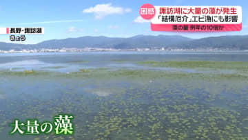 “厄介もの”が大量発生で悲鳴…エビ漁やコメ農家に影響
