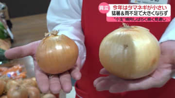 タマネギが“小玉”に…価格も高騰　猛暑と水不足が影響