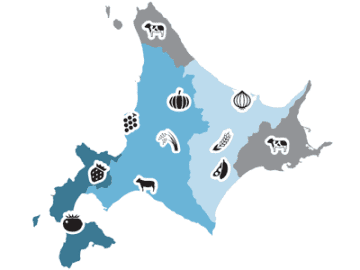 最初は全然売れなかった！？ 日本初のタマネギ栽培は札幌で始まった【眠れなくなるほど面白い 図解 北海道の話】