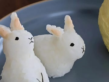 かわいらしい2匹の“ウサギ”の横に？　まん丸ビジュアルの正体に「躍動感がすごい」「見入ってしまった…」