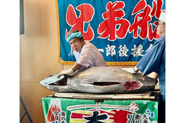 73歳・鳥羽一郎、102kgのマグロを解体　漁船員だった当時を述懐「マイナス60度での作業がつらかった」