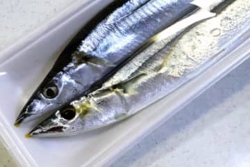 スーパーで買った旬のサンマ、パック開けたら「うわっ」　うごめくアニサキスにネット騒然「鳥肌立つ」