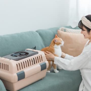 災害時に猫と『避難』する際の注意点5選　同行避難と同伴避難、何が違うか知っていますか？