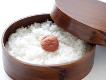Q. 「お弁当に炊き立てごはんを入れてはいけない」って本当？【管理栄養士が解説】