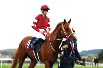 【愛チャンピオンS】シンエンペラー、カラ競馬場で併せ馬追い切り