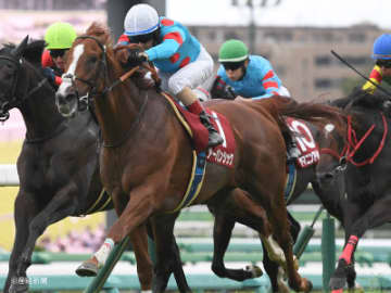 【セントライト記念】概ね平穏に収まる！？①人気は勝ち切れないケースが多いが連対率80％！過去10年の傾向から見る人気と配当