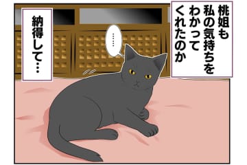 【マンガ・老猫日誌 ＃9】八つ当たりする老猫…18歳の元保護猫・桃姐
