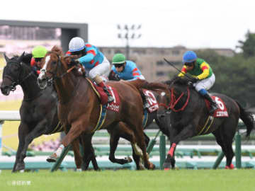 【セントライト記念】条件戦からの好走する確率は低い！？好相性の重賞レースとは！？ステップレースから見る過去10年の傾向