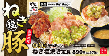鶏も豚も一皿で味わえる! からあげ定食専門店「からやま」が食べ応えとさっぱり感を両立した「黒胡椒からあげとねぎ塩焼き定食」を発売