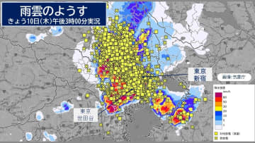 【雷雲発達中】東京都心　多数の落雷・世田谷で猛烈な雨を観測　帰宅時間は交通機関に影響も