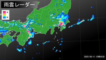 記録的短時間大雨情報【東京都】