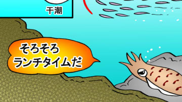 11月の目標は1kg超え！水温20℃を下回る頃アオリイカのサイズもUP！秋エギングは中層〜ボトムの攻略がカギ！