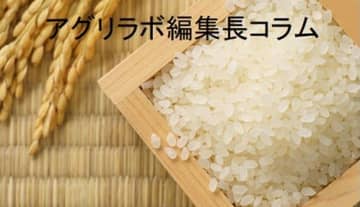 米価高止まりの恐れ　ハードル高い農政改革　アグリラボ編集長コラム