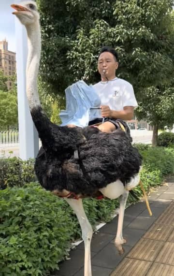 男性がダチョウに乗って道路に「電動車より速いし、航続距離も驚異的」―中国