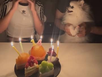 「僕がロウソクをフ〜ッってするね！」　自分が主役だと勘違いした犬の『呆然顔』が話題