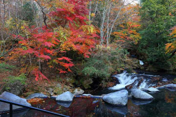 【温泉を知り尽くした賢人が偏愛する宿】絶景の紅葉温泉宿・気絶するほど感動する宿はどこ？BIGLOBEが公開