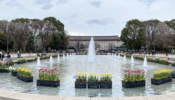 【衝撃】東京国立博物館に「常設展が貧弱」「詐欺のレベル」との酷評も。世界が絶賛する日本最強の博物館で何が？