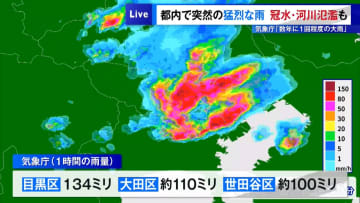 東京都内で突然の猛烈な雨…冠水・河川氾濫も「数年に1回の大雨」