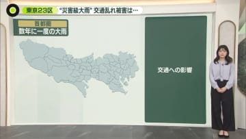 【災害級大雨】東京23区の被害は…交通にも大きな混乱　12日にかけて激しい雷雨のおそれ
