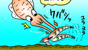 「なるほどその手があったか」「これは実践したい！」秋イカ攻略！オススメのエギ厳選3タイプをエキスパートが解説！