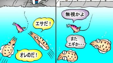 秋イカ釣りで自分だけいい思いができる!?『マイナースポット』を見つけるための4か条