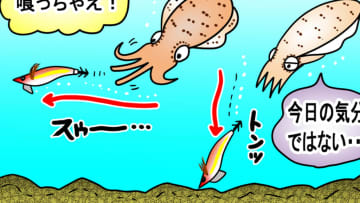 「この子やっぱりセンスある…」「楽しすぎて完全にハマりました」最後の最後でミラクル発生!? 秋エギングもガンガン上達！［湯川マサタカ×片原恵麻］
