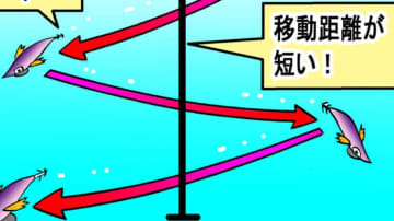 【ちゃんとエギ、動いてる？】エギングの元祖テクニックを今学ぶ【秋イカには○○○○ジャーク!!】