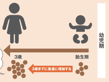 「太りやすさ」はほぼ３歳までに決まる！？ 成長期にこそ注意したい生活習慣とは【眠れなくなるほど面白い 図解 栄養素の話】