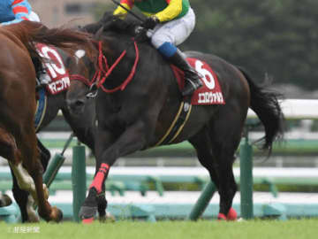 【セントライト記念】前走着順は不問も前走人気は1桁が理想！ダービー組で見る攻略POINT