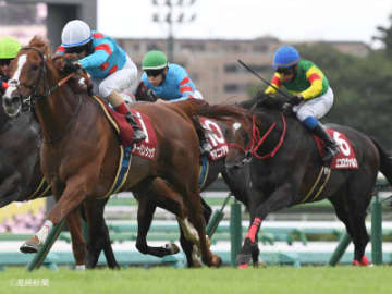 【セントライト記念】1勝＆2勝クラス組共に買い材料は明確！条件戦組で見る攻略POINT