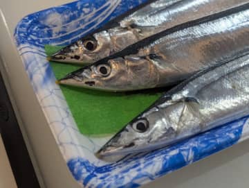 さんまをスーパーで買うなら「あの部分」を見て　「鮮度が非常にいい」プロ目線の見分け方
