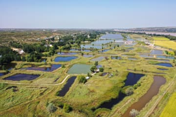 塩類・アルカリ土壌が稲漁生態観光園に変身　中国内モンゴル自治区