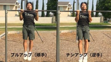 逆手懸垂（チンアップ）の効果と正しいやり方｜回数・頻度・順手との違いを解説