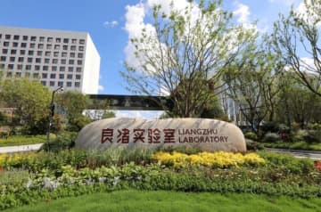 中国の科学者、単一遺伝子によるエリテマトーデスを発見