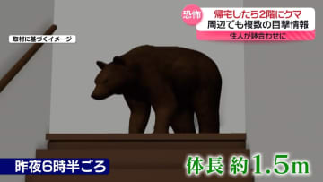 自宅2階にクマが…住人鉢合わせ　トウモロコシ畑では3日連続食害　各地で出没相次ぐ