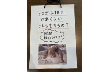 夏休みの自由研究、教師の“黙殺”対応に保護者疑問　「評価できないなら必須にしないで」ネットも共感