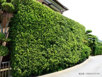 空き巣が避ける家の共通点とは？　元警察官が語る“見られる家づくり”