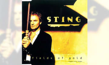 スティング「Fields of Gold」解説：世代を超えて人々を魅了する名バラード