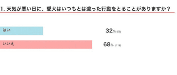 【調査】天気が悪い日、愛犬はどう変わる？天候の影響を受けやすい犬の行動と特徴を獣医師が解説