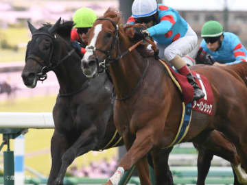 【セントライト記念】複勝率50％！信頼度抜群なのは！？重賞勝ち馬で見る攻略POINT