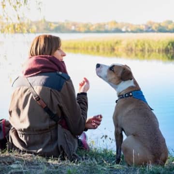 犬に安心感を与える『声のトーン』はどれくらい？好まれやすい理由から避けるべき声の掛け方まで