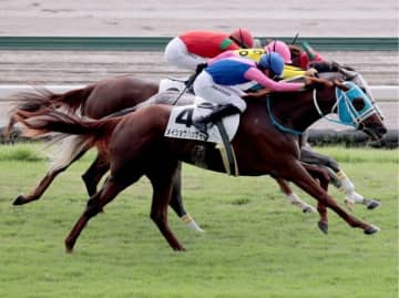 武豊【“メイショウ”松本好雄オーナーがJRA通算2000勝！前人未到の偉業に歓喜の声】　天才ジョッキーの裏話コラム