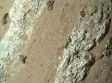 火星の岩石から「最も明確な生命の兆候」、ＮＡＳＡ発表